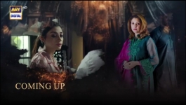 Noor Jahan - Episode 25 - 17th August 2024